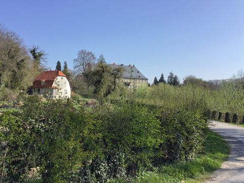 Blick vom Radweg auf das Schloss in Wewer